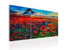 Tableau valley of poppies taille 60 x 30 cm PD10063-60-30