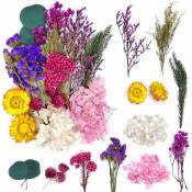 Csparkv - Bouquet de Fleurs Séchées Naturelles Vraies