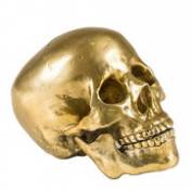 Décoration Human-Skull / Crâne en métal - Diesel