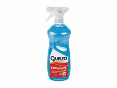 Quelyd dissoucol spray 1l 539066