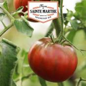 Tomate Noire de Crimée - 50 graines - La ferme Sainte
