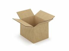 10 cartons d'emballage 25 x 25 x 20 cm - double cannelure CAD02B-10