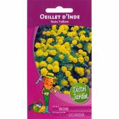 Graines d'oeillet d'inde nain yellow 1g
