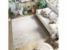 Tapis de salon design moderne petra tapiso gris clair