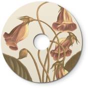 Abat-jour mini plat Ellepì à motifs floraux 'Blossom Haven', diamètre de 24 cm - Fabriqué en Italie Botanique Gloxinia - Botanique Gloxinia
