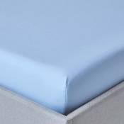 Drap-housse Bleu 100% coton Égyptien 200 fils 120 x 190 cm