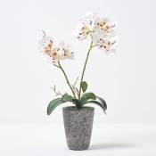 Homescapes - Orchidée artificielle blanche en pot en ciment gris 46 cm - Blanc
