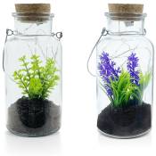 Mediawave Store - Boîte en verre avec plante décorative 452415 et Mini-lumière Led avec poignée