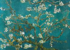 Posters.de Poster Van Gogh - Amandier en Fleurs - 140