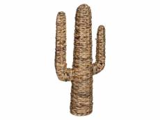 Cactus grand modèle haci - atmosphera