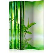 Paravent Bambou Vert Zen pour Intérieur et Extérieur