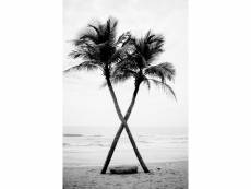 Tableau sur toile palmiers noir et blanc 65x97 cm 635700