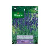 Vilmorin - Lavender Seeds aromatiques S-1 520, 2 gr