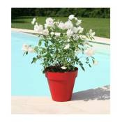Riviera - Pot de fleurs Soleilla -Rond - ш 39,2 x 35,8 cm - Rouge
