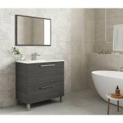 Caesaroo - Meuble de salle de bain sur le sol 80 cm Gris cendré avec miroir Gris cendré - Avec lampe Led