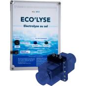 Electrolyseur au sel pour piscine jusqu'à 90 m3, 4 gr/L, production 19 gr/L, modèle Eco'lyse 90 de Bypiscine