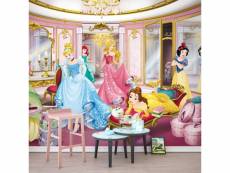 Papier peint photo les princesses disney dans leur dressing 368cm x 254cm