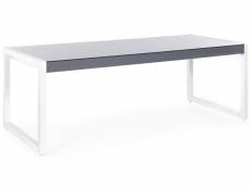 Table de jardin en aluminium gris et blanc 210 x 90 cm bacoli 145972
