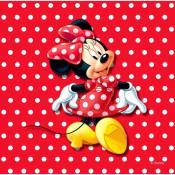 Ag Art - Coussin Minnie Mouse 2 faces Disney 40x40