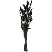 Atmosphera - Bouquet queue de lapin H58cm noir créateur