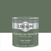 Peinture murs plafonds et boiseries Velours de peinture vert treillis Liberon 0 5L