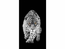 Rideau imprimé léopard en noir et blanc et yeux couleur