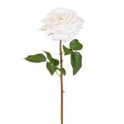 Tige de rose rosie artificielle blanche H50
