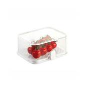 891820 Purity Small Food Container - Tescoma