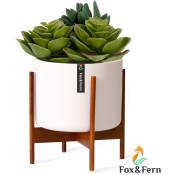 Fox&fern - Pot de fleurs Thorn avec support Style années