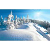 Hxadeco - Affiche montagne trace dans la neige fraiche