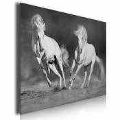 Hxadeco - Tableau cheval camarguais noir et blanc , 80x50cm