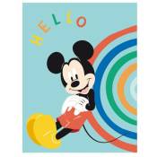 Plaid Disney Mickey - Hello