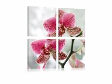 Tableau fleurs orchidée de fantaisie taille 80 x 80