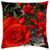Amazing Roses - Throw Pillow Cover Case (18