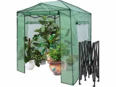 Costway serre de jardin portable avec 2 larges fenêtres observation, tente pour plantes porte enroulable à double fermeture éclair 180 x 250cm pour se