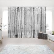 Ensemble de rideaux coulissants - Birches In November - 5 Rideaux à panneaux Dimension: 250 x 300cm (5 rideaux á 250 x 60cm), Système de montage: