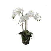 Orchidée artificielle en terre blanche H75