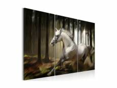 Tableau - cheval blanc parmis les arbres-60x40 A1-N1628
