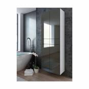 Colonne Pureza 60 cm - Gris Laqué/BM salle de bain