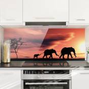 Crédence en verre - Savannah Elephant Family - Panorama