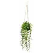 Suspension plante verte retombante 10 cm Silumen Vert