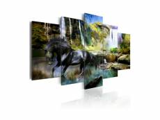 Tableau - cheval noir sur fond de cascade paradis-100x50 A1-N1664