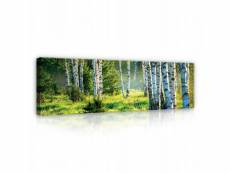 Impression sur toile vert forêt paysage bouleaux 145x45