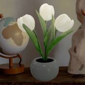 Lampe Tulipe, Lampe de Table Lampe de Bureau Ornements de Fleurs Led Simulation Tulipe Veilleuse avec Céramique Vase, pour la Maison Salon Décor de