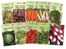 Lot 20 paquets graines légumes potager jardin ouvrier,