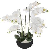 Orchidée Artificielle 65cm avec Pot en Céramique - Couleur Uni - SILUMEN - Noir - Noir,Blanc