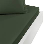 Drap housse percale coton pour lit articulé Eucalyptus