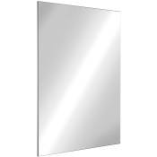 Miroir rectangulaire inox - 500 x 400 mm - Delabie