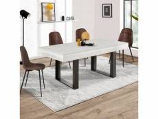 Table à manger extensible phoenix 6-10 personnes bois et gris 160-200 cm