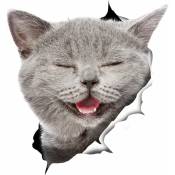 Autocollants chat 3D - Lot de 2 - Autocollants chat gris qui rit pour mur - Réfrigérateur - Toilettes - Voiture